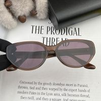 Balenciaga BL8602 Oval Acetate Sunglasses In Brown